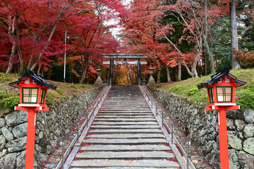 晩秋の京都市大原野神社 参道と二の鳥居