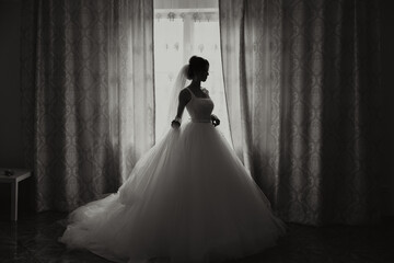 A luxurious bride with a beautiful hairstyle and a gorgeous dress is getting ready for the wedding...