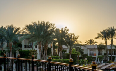Fototapeta na wymiar landscape dawn sky palms and hotel in egypt in Sharm El Sheikh
