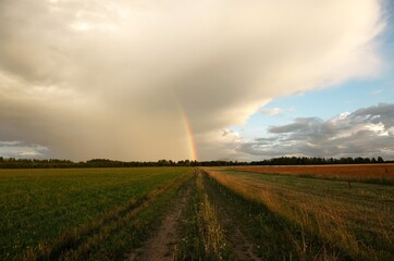 Naklejka na ściany i meble rainbow in the field above the road