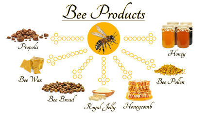 honey, bee bread, pollen, royal jelly, propolis and wax isolated