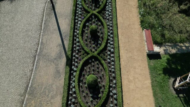 rectangular flowerbed bordered and divided by a boxwood hedge and solitaire balls in a clipped shape. the squiggle is repeated three times as a green ribbon in the ornament, landscaping, cobblestone