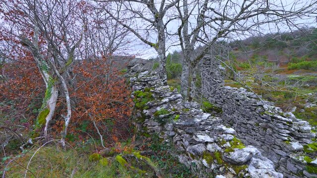 Trap to hunt wolves (Canis lupus), called the Lobera de Barr&oacute;n in the Sierra de Arcamo. Aerial view from a drone. Artaza. Alava. Basque Country. Spain. Europe