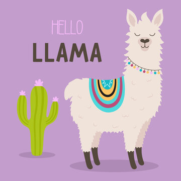 cartoon cute llama card