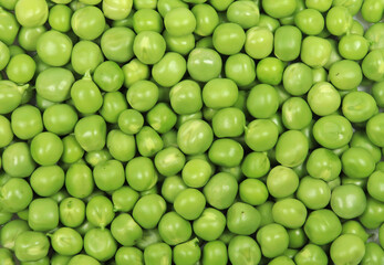 Fresh green pea full taxture original color top view 