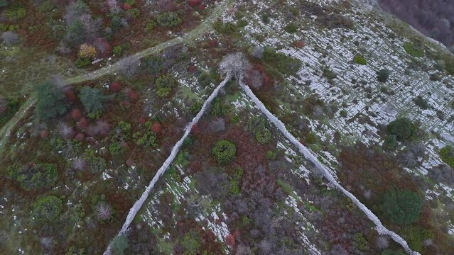 Trap to hunt wolves (Canis lupus), called the Lobera de Barr&oacute;n in the Sierra de Arcamo. Aerial view from a drone. Artaza. Alava. Basque Country. Spain. Europe