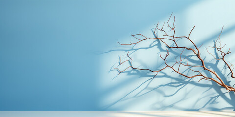 Minimal abstract background for product presentation. The shadow of a dry tree on the blue wall