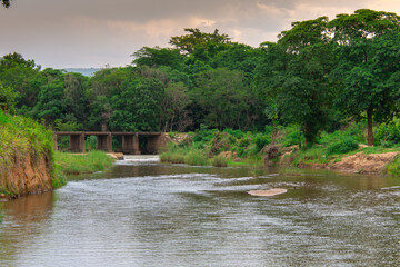 Pretty little river flowing through the savannah in South Africa