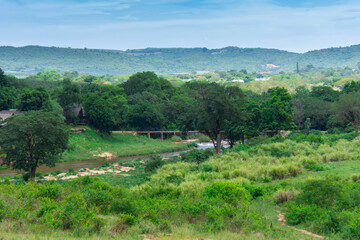 Pretty little river flowing through the savannah in South Africa