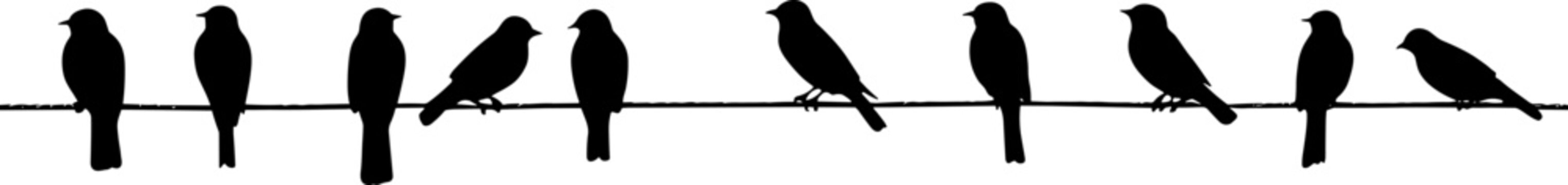 A silhouette of birds Purple Martins on a telephone wire. AI generated illustration.
