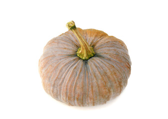 Pumpkin isolated on white background