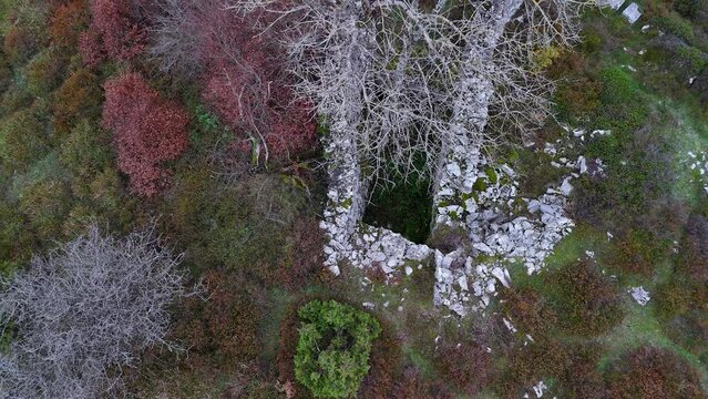 Trap to hunt wolves (Canis lupus), called the Lobera de Barr&oacute;n in the Sierra de Arcamo. Aerial view from a drone. Artaza. Alava. Basque Country. Spain. Europe