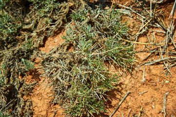 Fairy Tale Canyon, Kyrgyzstan.Central Asia
