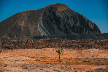 Fuerteventura piconera