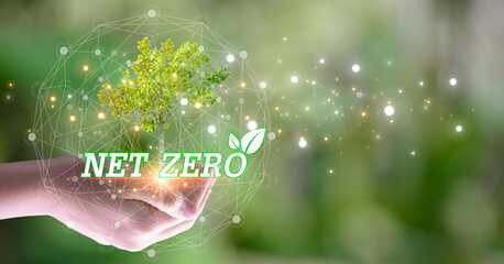 The concept of net zero carbon and carbon neutrality for the goal of net zero greenhouse gas...