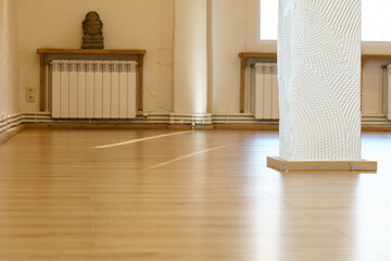 A spacious empty hall with columns and large windows. A gym with wooden floors for yoga and fitness...