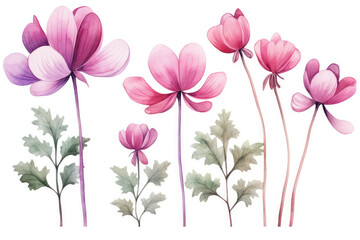 Flower watercolor leaf floral drawing summer background nature design blossom spring decorative illustration plant