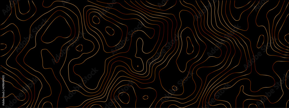 Poster luxury abstract topographic line map. modern design with black background with topographic wavy patt