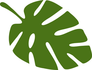 palm leaf.exotic jungle leave.Plant tropical design.Summer tropic illustration isolated on transparent, png.beige ,green