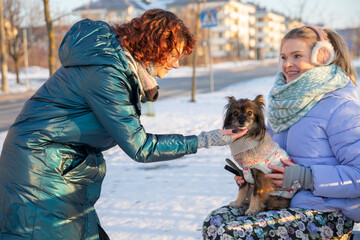 A girl strokes her friend's dog under the muzzle.
