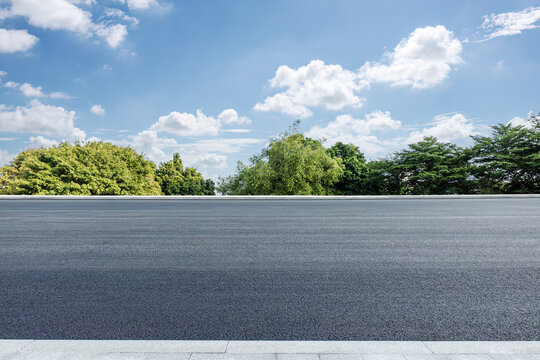 Empty asphalt and woods nature landscape in summer