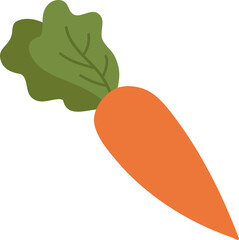Carrot flat vector