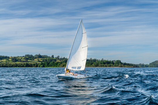 small laser sail boat in the lake during a summer day
