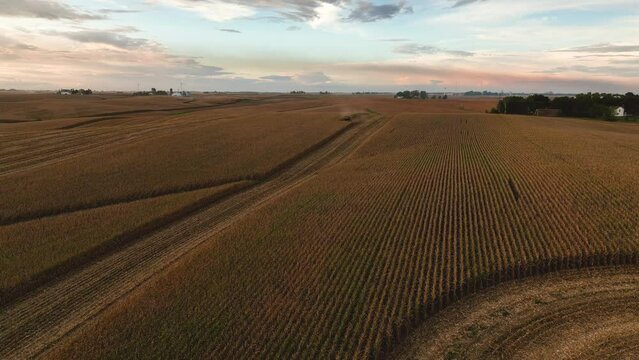 Iowa Corn Harvest Aerial Tracking Shot