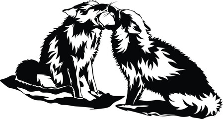 Cartoon Black and White Isolated Illustration Vector Of 2 Wild Foxes Fighting
