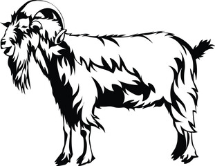 Cartoon Black and White Isolated Illustration Vector Of A Horned Billy Goat Standing Up