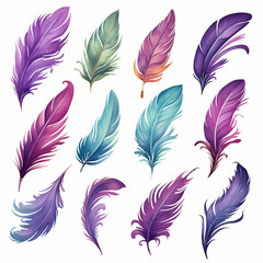 Mardi gras watercolor feathers, bird, illustration