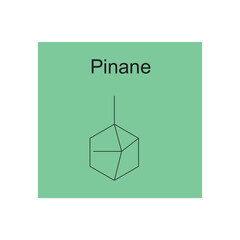 Pinane skeletal structure diagram.Monoterpene ketone compound molecule scientific illustration on green background.