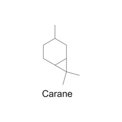 Carane skeletal structure diagram.Monoterpene ketone compound molecule scientific illustration on white background.