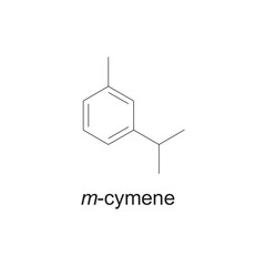 m-Cymene skeletal structure diagram.Monoterpene ketone compound molecule scientific illustration on white background.