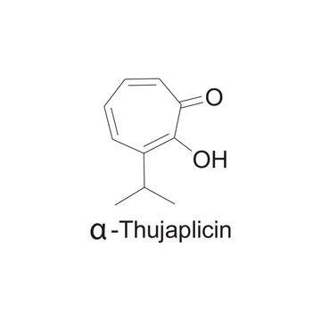 α-Thujaplicin skeletal structure diagram.Monoterpenoid compound molecule scientific illustration on white background.