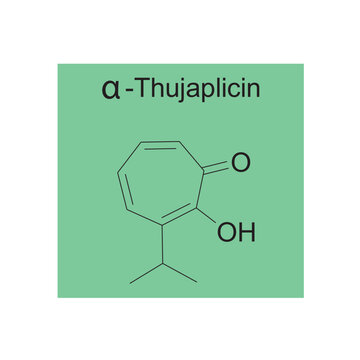 α-Thujaplicin skeletal structure diagram.Monoterpenoid compound molecule scientific illustration on green background.