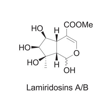 Lamiridosins A/B skeletal structure diagram.Monoterpenoid compound molecule scientific illustration on white background.