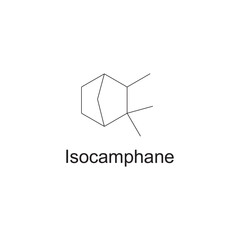 Isocamphane skeletal structure diagram.Monoterpene ketone compound molecule scientific illustration on white background.