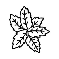 svg doodle element cute set