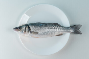 Raw fresh seabass fish on a white plate. Minimal food concept. Top view.