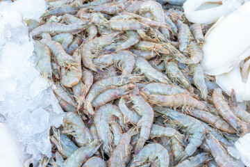 Raw shrimps at the street market in Egypt.