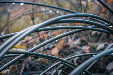 Beautiful water drop sparkle on a blade of grass photo. Big droplet of morning dew outdoor.