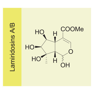 Lamiridosins A/B skeletal structure diagram.Monoterpenoid compound molecule scientific illustration on yellow background.