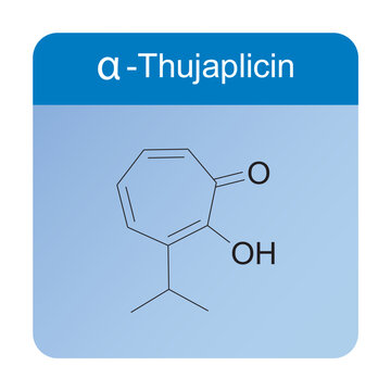 α-Thujaplicin skeletal structure diagram.Monoterpenoid compound molecule scientific illustration on blue background.