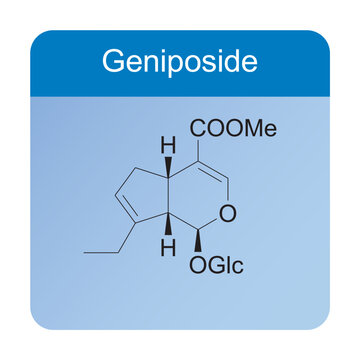 Geniposide skeletal structure diagram.Monoterpenoid compound molecule scientific illustration on blue background.