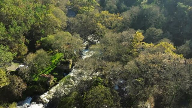 Cascades Amongst Trees At Tropical Mountain Forest In Zas, A Coruna, Spain. Aerial Drone Shot