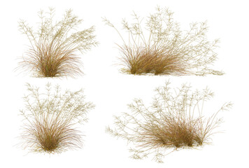 Hay on transparent background