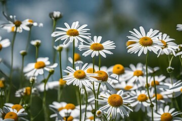 beautiful field of daisies Generated with AI.