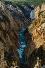 Canyon Village Lower Falls on the Yellowstone River at Artist point, Yellowstone National Park, Wyoming, USA