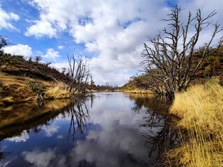 A lake on an island in Patagonia, Argentina, Tierra del Fuego